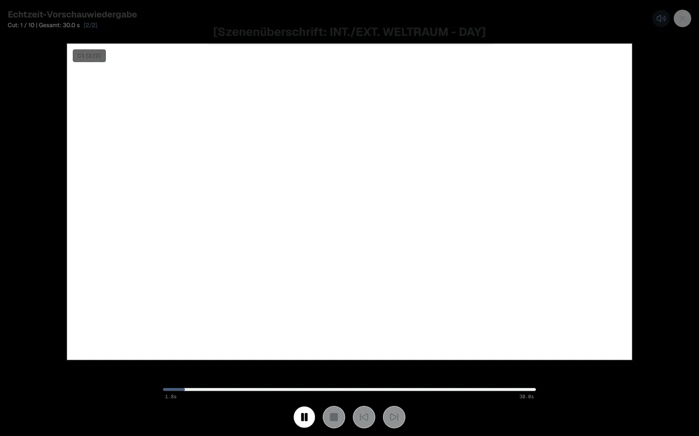 Abbildung 6.6: Bildschirm der Echtzeit-Vorschau-Videowiedergabe